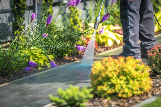 Best Brick and Stone Cleaning in Vandergrift, PA
